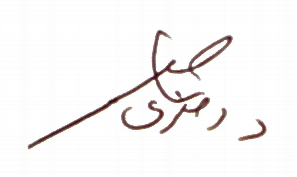 د. رمزي ناصر